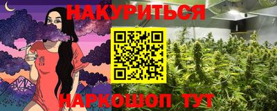 МДПВ Будённовск