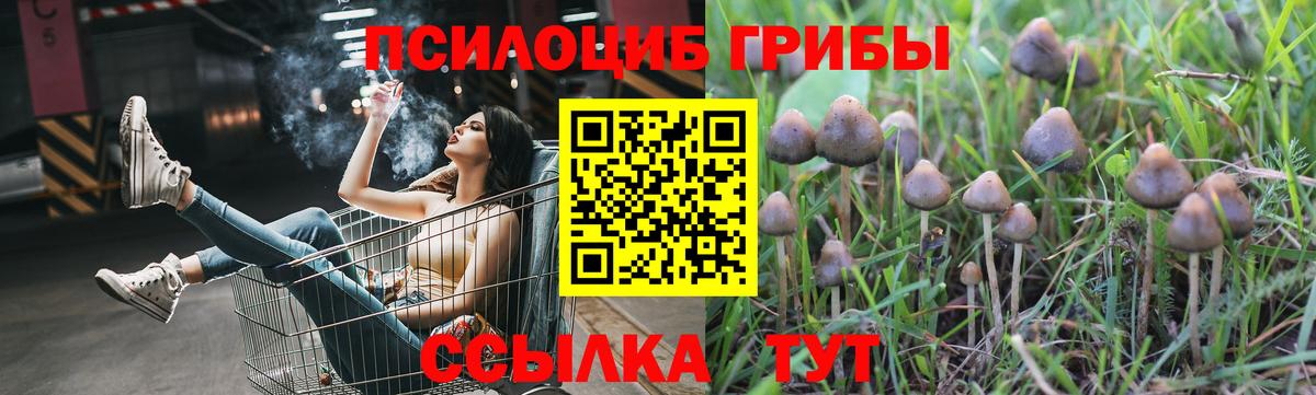Псилоцибиновые грибы Psilocybine cubensis Сарапул
